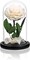 Preserved Flowers White Roses in Glass Dome (White) 4.7"D x 4.7"W x 7.5"H